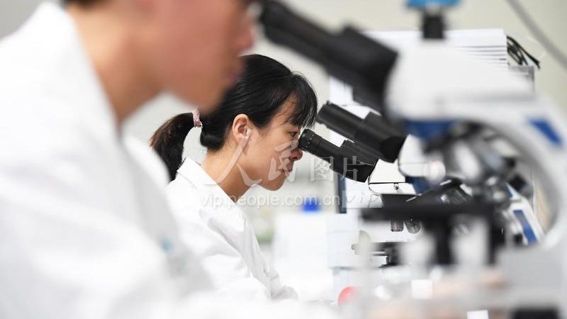 细胞工厂型号参数解析：揭秘高效生产背后的秘密