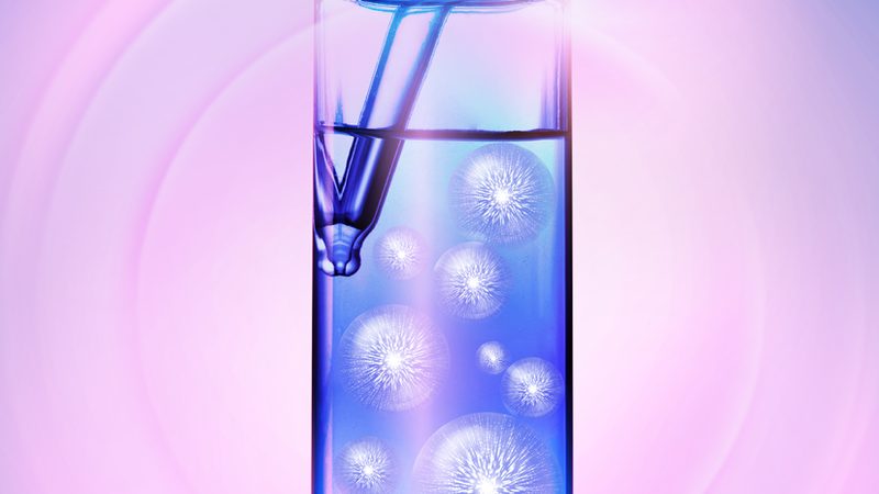 构建精准实验室：如何挑选组织培养基地**