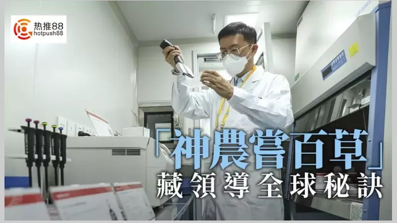 CDMO服务价格构成解析：揭秘成本背后的秘密