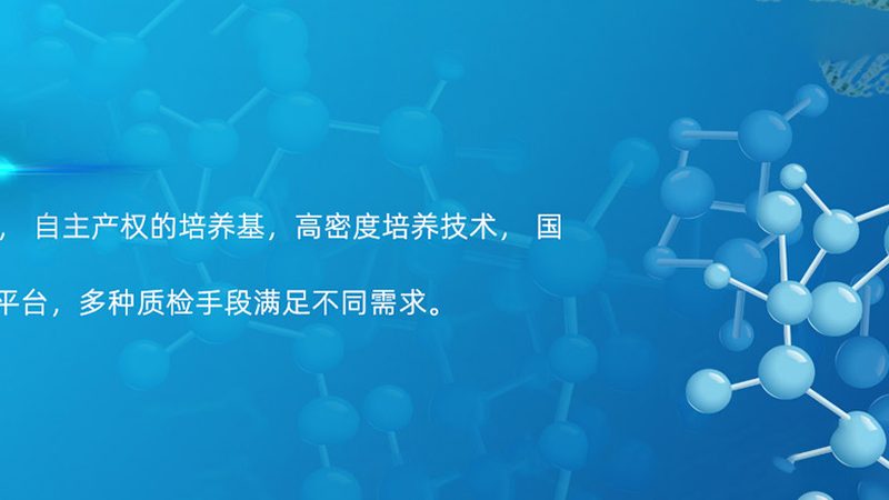 CDMO商业模式：规避误区，把握合作之道**
