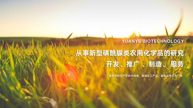 核酸检测，在家也能轻松完成？**