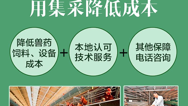 贴壁细胞培养基的选择：关键因素与误区解析**
