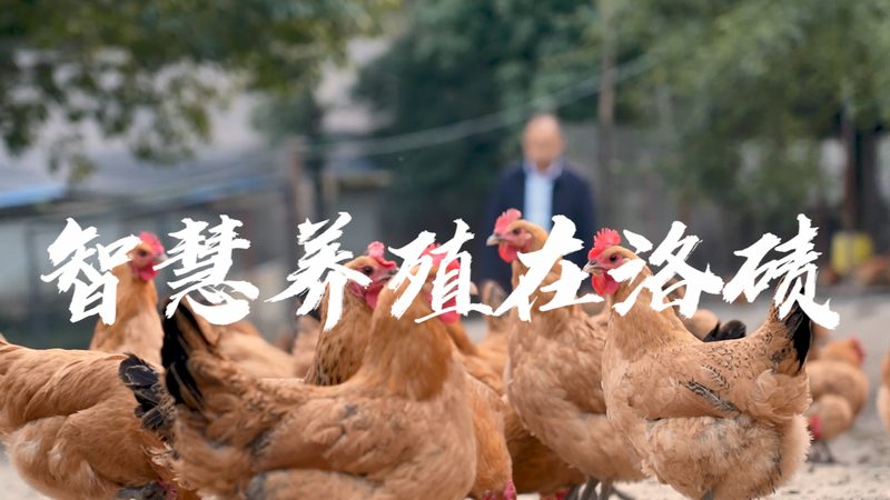 移液器选型，如何从实验室需求出发？**