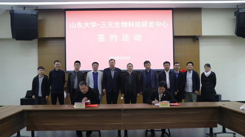 CDMO定制合成：如何理性对比价格与价值**