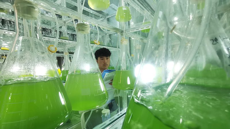 CRS软件功能参数对比：揭秘医药研发的得力助手